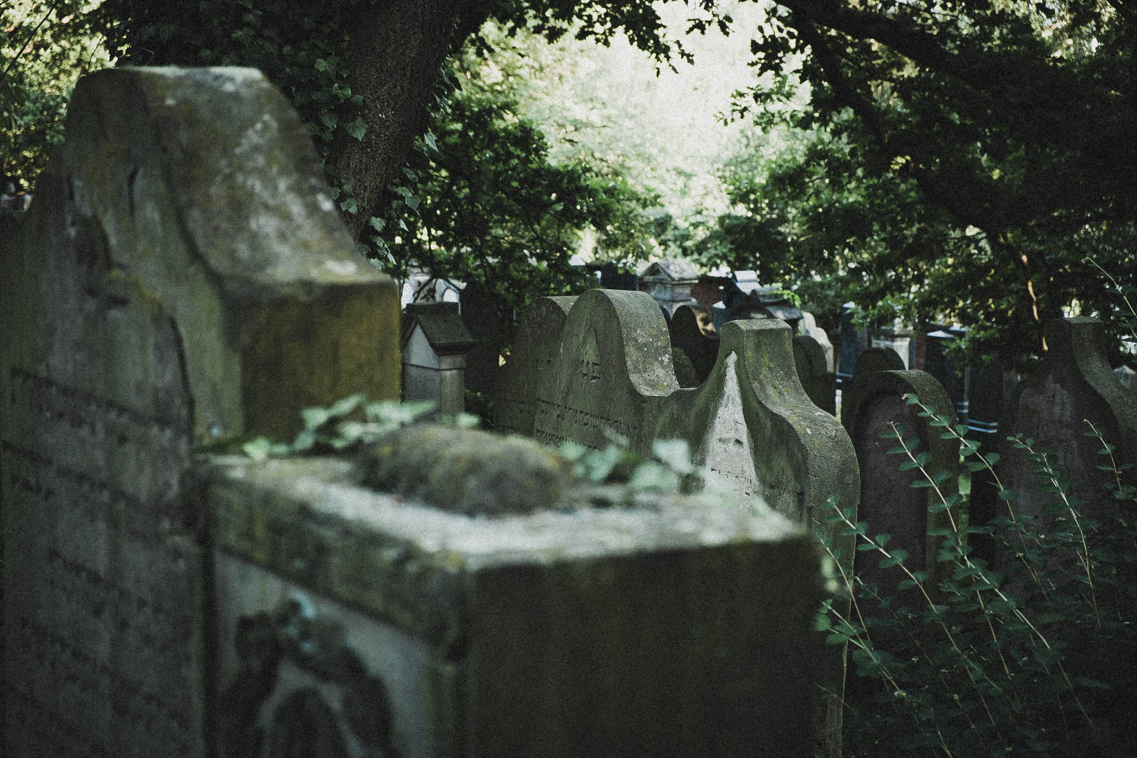 Jüdischer Friedhof Kassel-Bettenhausen